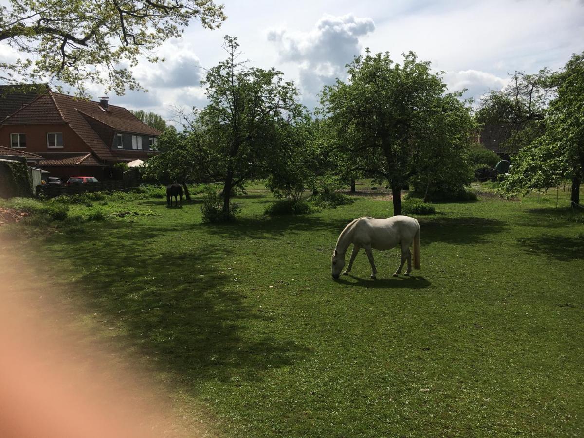 Hotellerie Gasthaus Schubert Garbsen Bagian luar foto